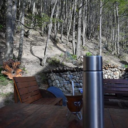 Cabana Suenos Del Fin Del Mundo Ushuaia Dış mekan fotoğraf